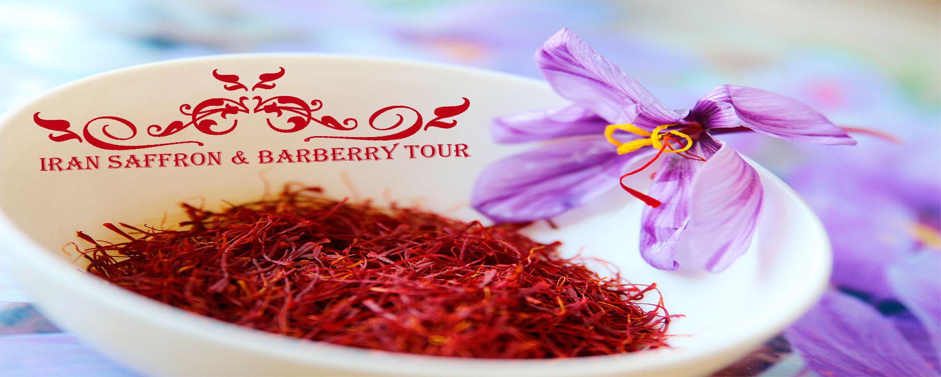 Iran Saffron and Barberry Tour